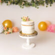 Kickstarting Your Cake Smash Photography Career